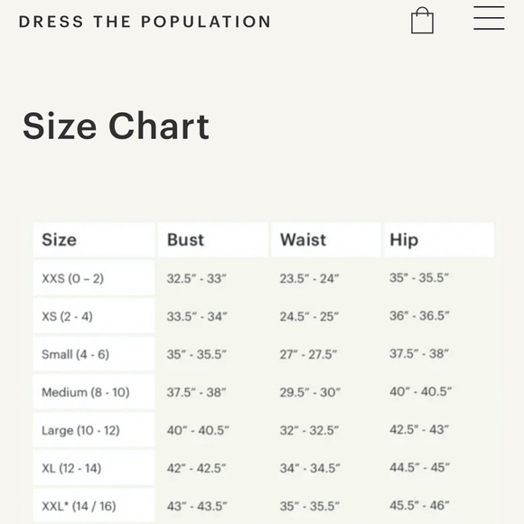 Dress the Population Cocktail Dress - Picture 8 of 8